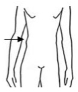 triangle hipbones